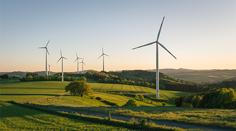 Feld mit Windkraftanlagen