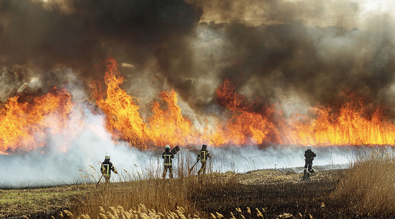 Eine Gruppe von Feuerwehrleuten arbeitet daran, einen großen Waldbrand zu bekämpfen.
