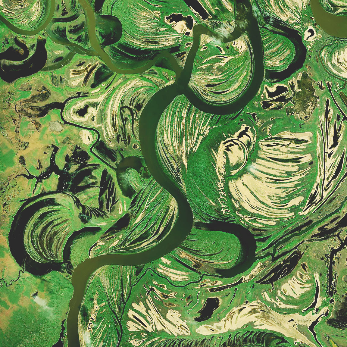 Satellitenbilder von Feuchtgebieten zeigen einen dunkelgrünen Fluss, der sich durch braune und hellgrüne Sümpfe schlängelt