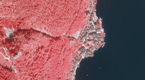 Infrarot-Fernerkundungsbild eines bewaldeten Küstengebiets mit rosa Schattierungen und Gruppen grauer Gebäude an der Küstenlinie 